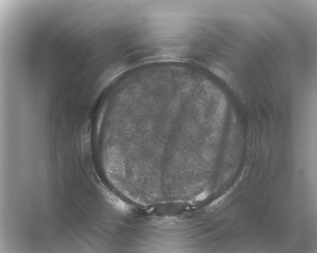 X0000068301450200605121951