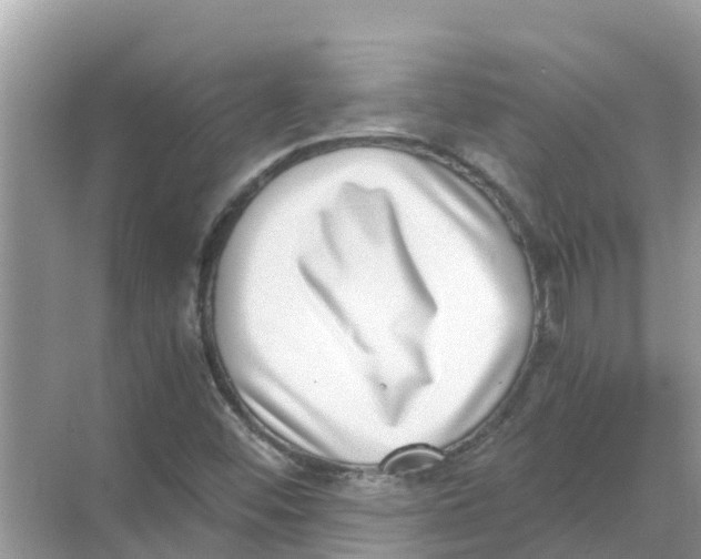 X0000068301452200605121951