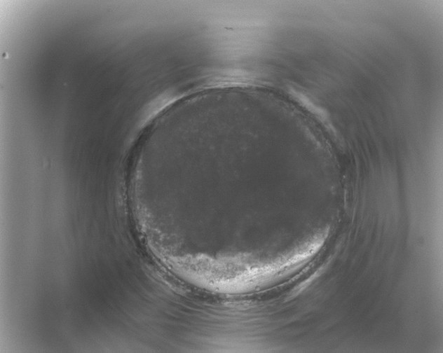 X0000068301453200605121951