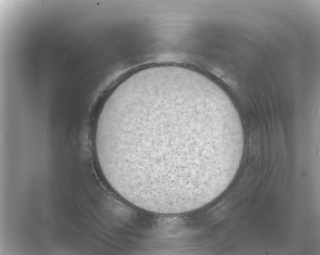 X0000068301454200605121951