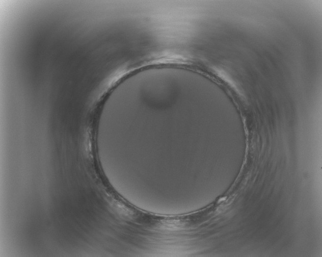 X0000068301455200605121951