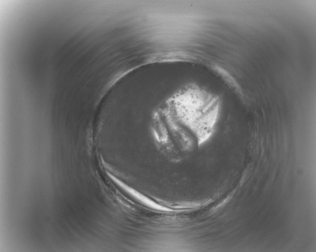 X0000068301457200605121951