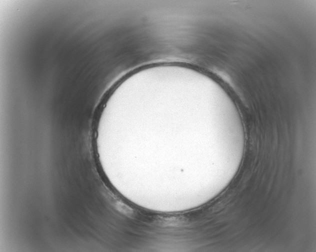 X0000068301460200605121951