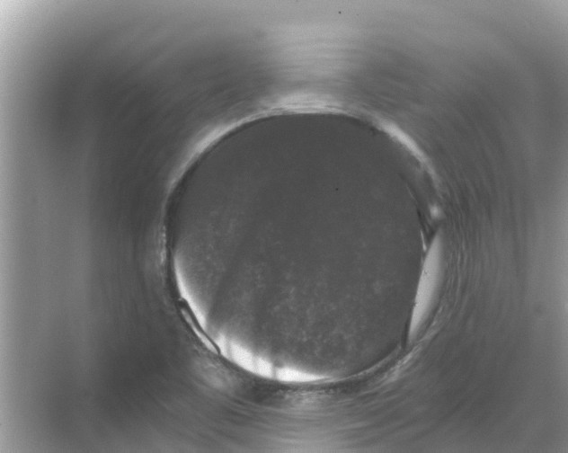 X0000068301461200605121951