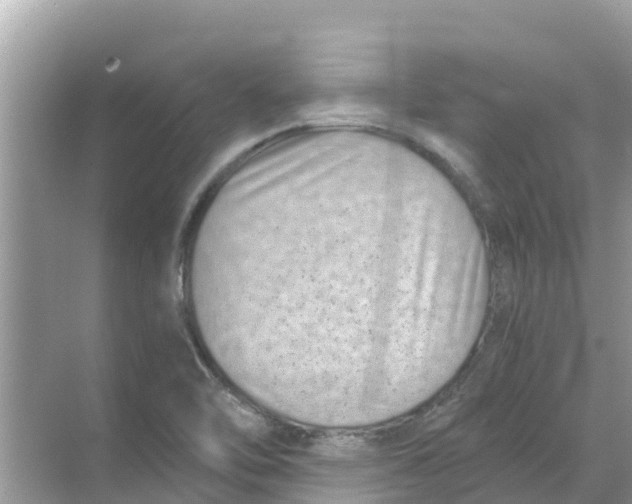 X0000068301462200605121951