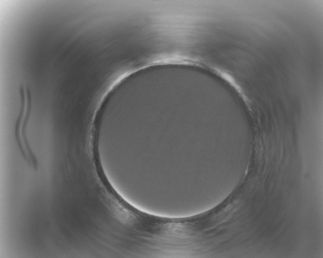 X0000068301463200605121951