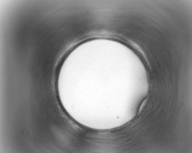 X0000068301464200605121951