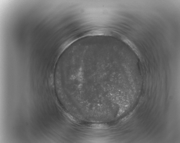 X0000068301465200605121951