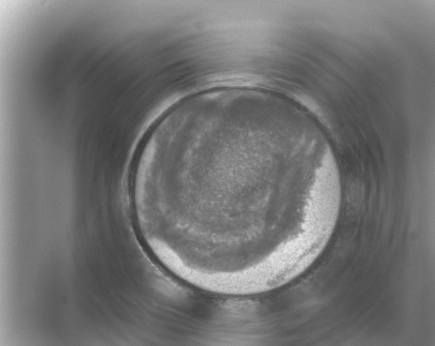 X0000068301466200605121951