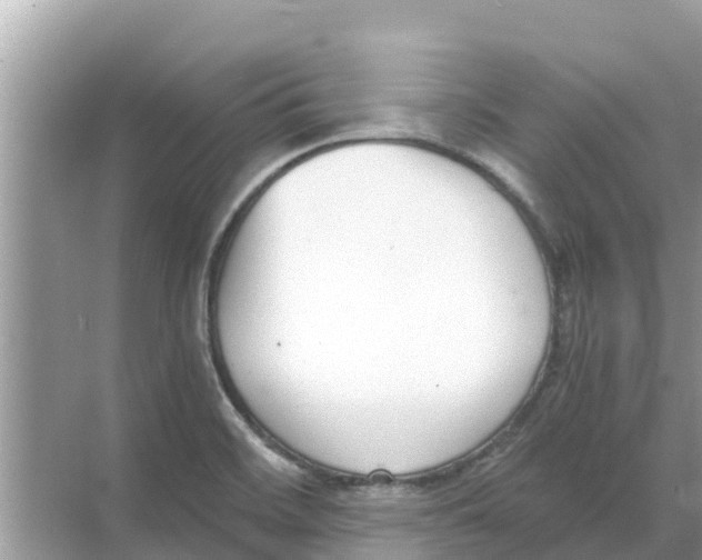 X0000068301468200605121951