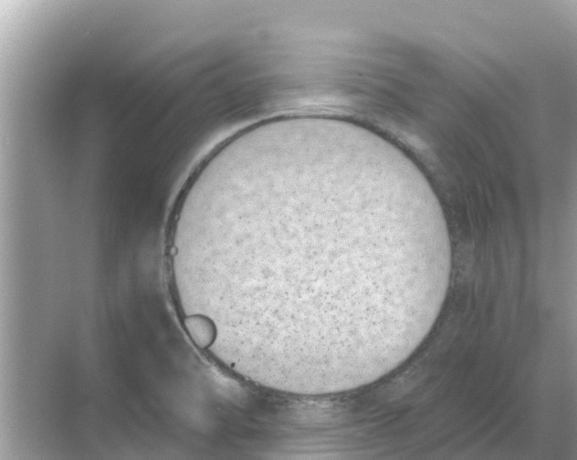 X0000068301470200605121951