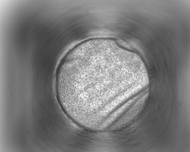 X0000068301472200605121951