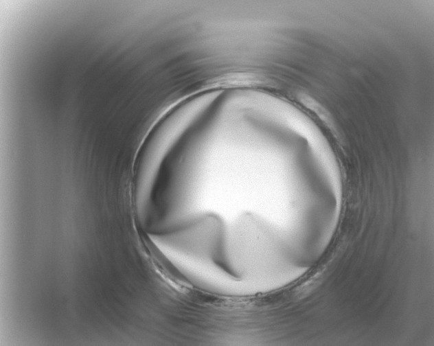 X0000068301473200605121951