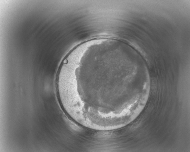 X0000068301474200605121951