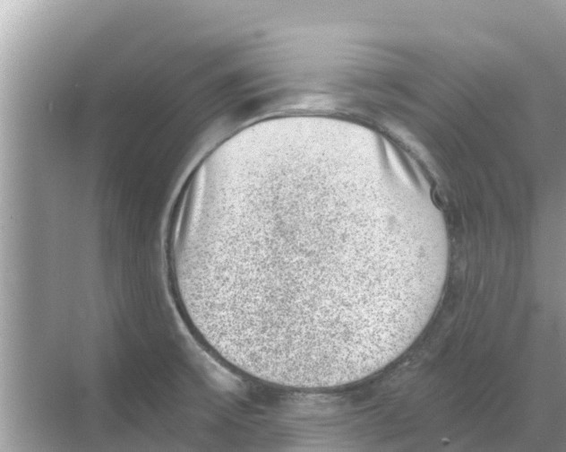 X0000068301475200605121951