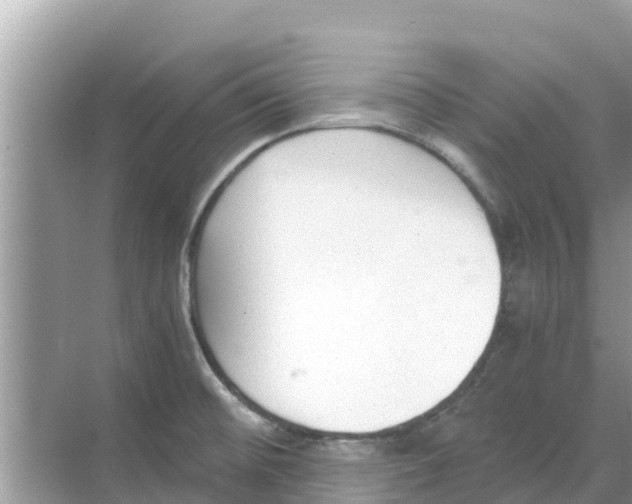 X0000068301476200605121951