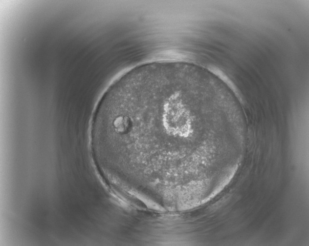 X0000068301477200605121951