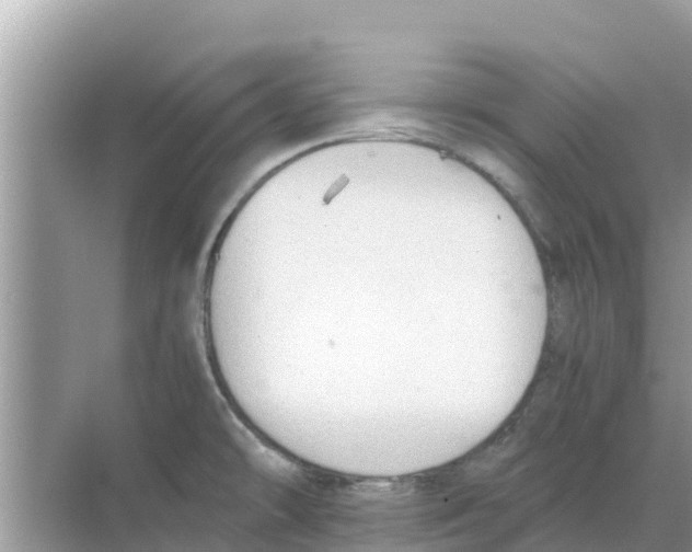 X0000068301478200605121951