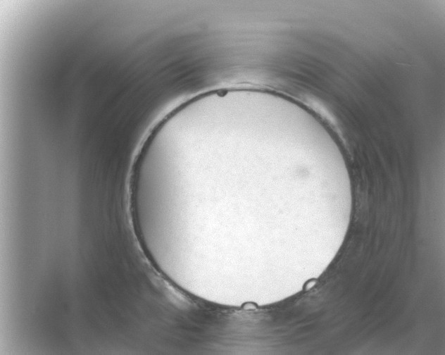 X0000068301480200605121951