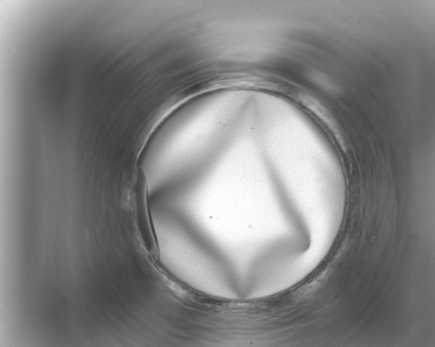 X0000068301481200605121951