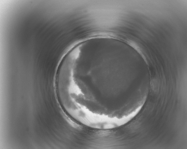 X0000068301482200605121951