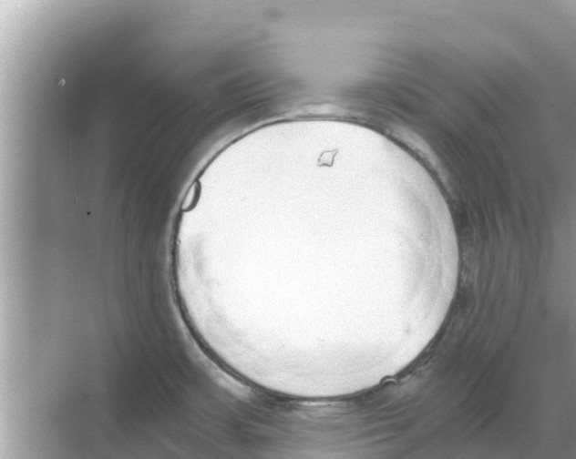 X0000068301483200605121951