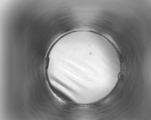 X0000068301484200605121951