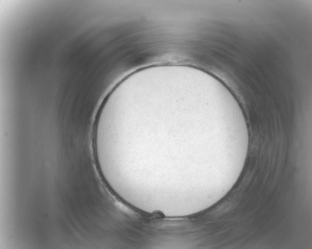 X0000068301486200605121951