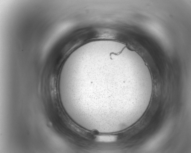 X0000068301487200605121951