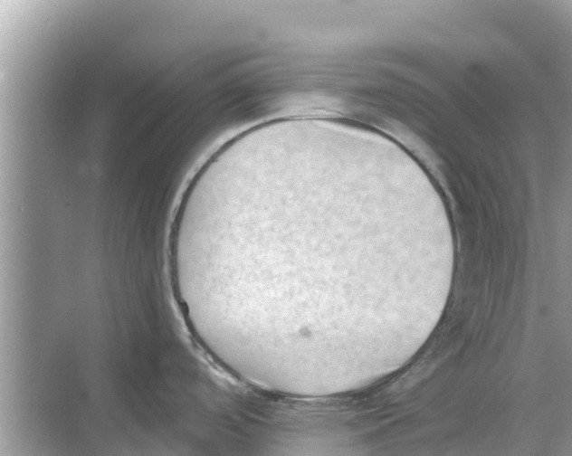 X0000068301488200605121951