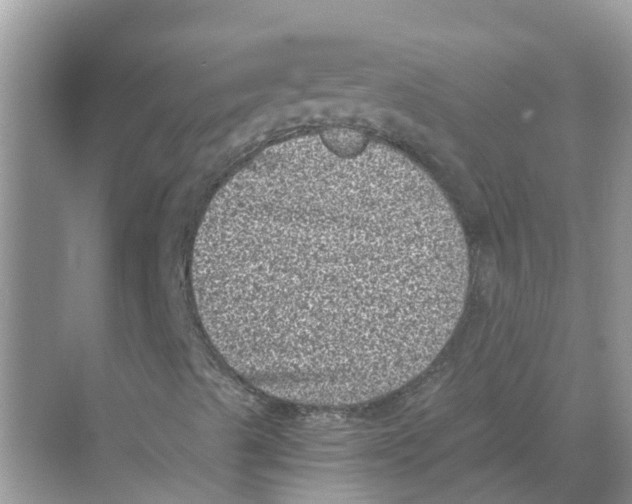 X0000068301489200605121950