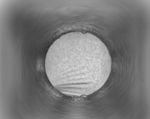 X0000068301490200605121950