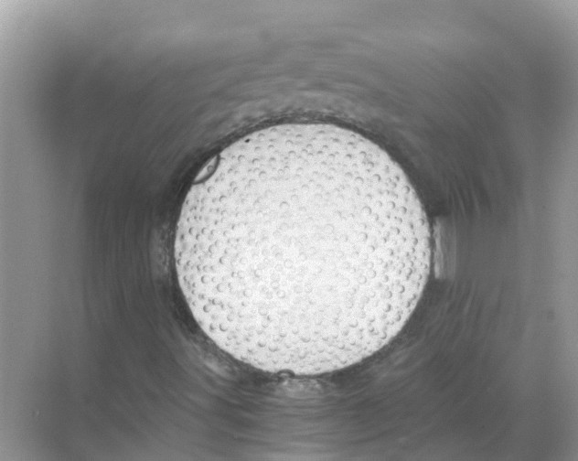 X0000068301491200605121950