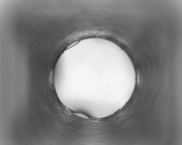 X0000068301492200605121950