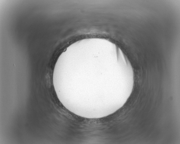 X0000068301493200605121950