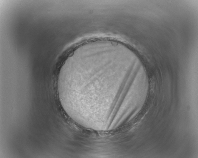 X0000068301494200605121950