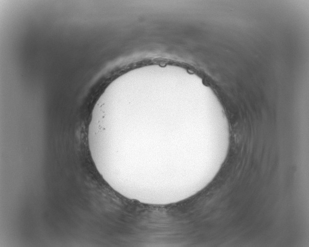 X0000068301495200605121950