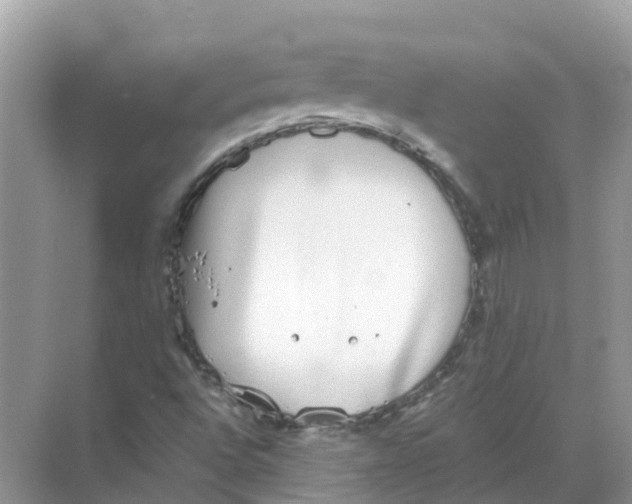 X0000068301496200605121950