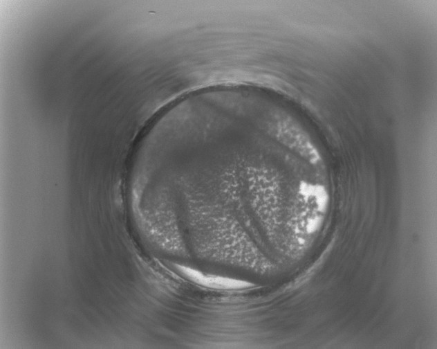 X0000068301497200605121950