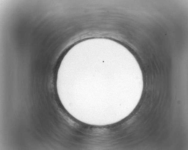 X0000068301498200605121950