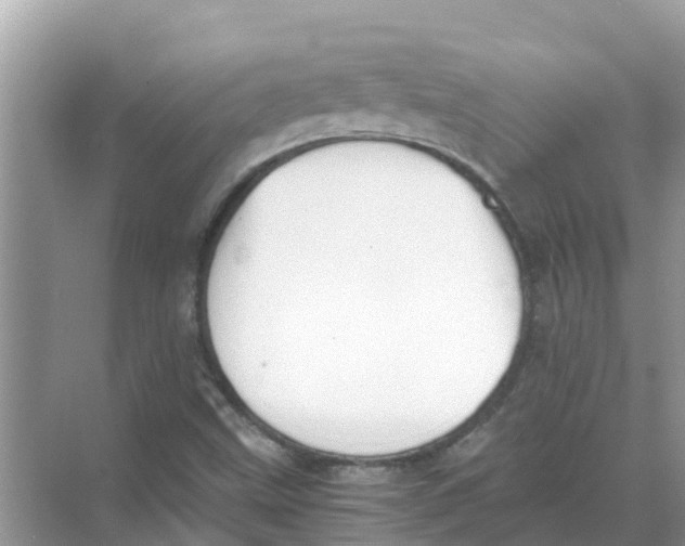 X0000068301499200605121950