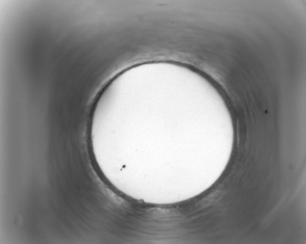 X0000068301500200605121950