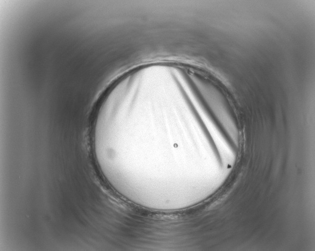 X0000068301501200605121950