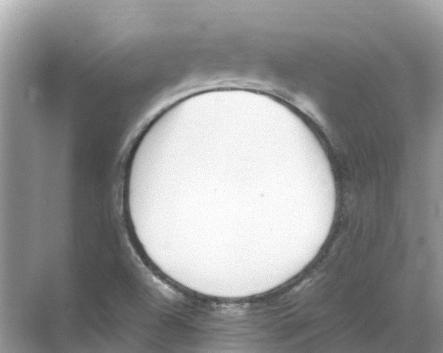 X0000068301504200605121950