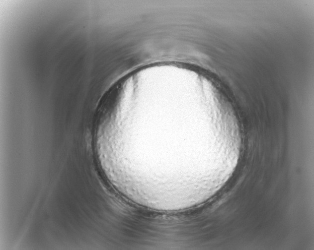 X0000068301505200605121950