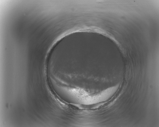 X0000068301506200605121950