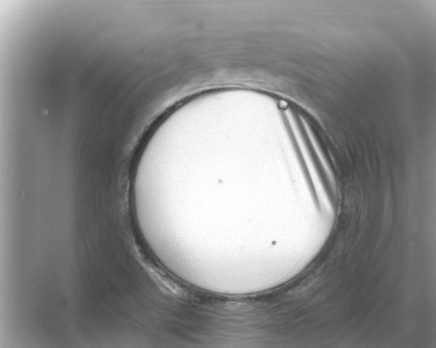 X0000068301507200605121950