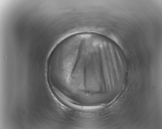 X0000068301508200605121950