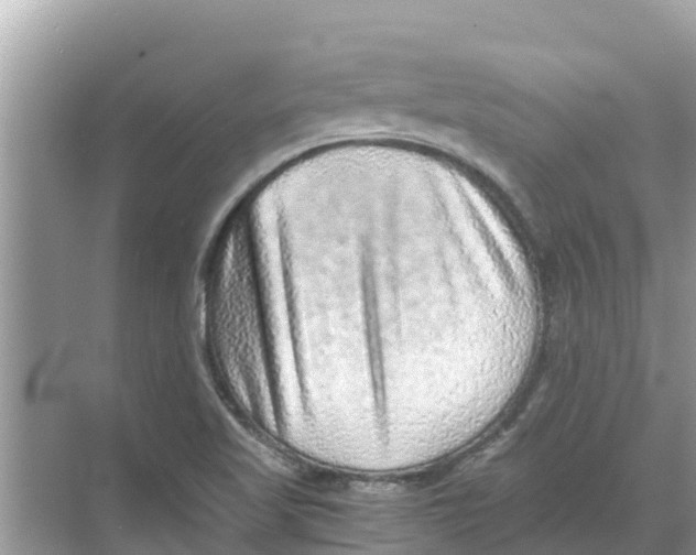 X0000068301509200605121950