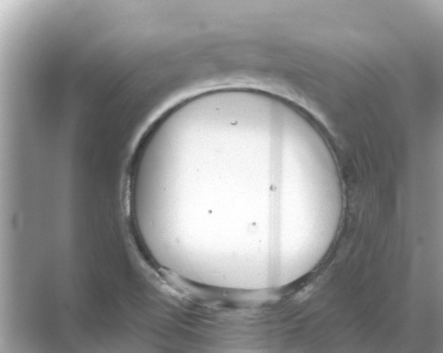 X0000068301510200605121950